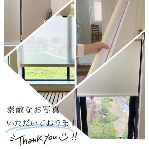 つっぱり ロールスクリーン ロールカーテン 防...の詳細画像4
