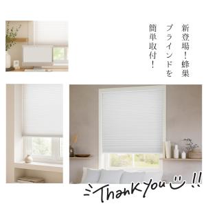 【自分だけの世界】ロールスクリーン つっぱり ...の詳細画像1
