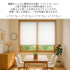 【自分だけの世界】ロールスクリーン つっぱり ...の詳細画像2