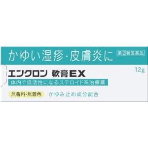エンクロン軟膏ＥＸの商品画像
