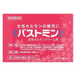 【第(2)類医薬品】バストミン 4g [【メール便(送料込)】※代引・日時・時間・他の商品と同時購入は不可]｜fortress2