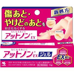 【第2類医薬品】アットノンEXジェル 15g