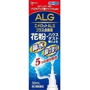 エメロットＡＬＧプラス点鼻薬の商品画像