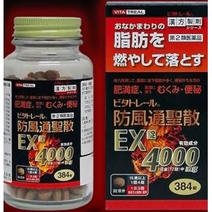ビタトレール防風通聖散ＥＸ錠の商品画像