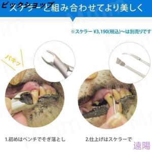 愛犬・愛猫用 歯石取り ペンチ 犬 歯石 デン...の詳細画像4