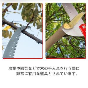 高枝切りバサミ 高枝切鋏 5段伸縮式 2m-1...の詳細画像5