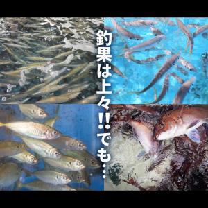 【イケダ商会・ヤマハ対応】イカス 船舶用 スカ...の詳細画像1