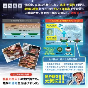 【イケダ商会・ヤマハ対応】イカス 船舶用 スカ...の詳細画像4
