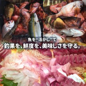【イケダ商会・ヤマハ対応】イカス 船舶用 スカ...の詳細画像5