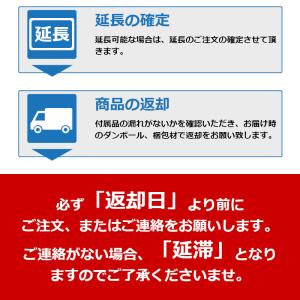 レンタル延長 延長1泊〜4週間 ビデオカメラ ...の詳細画像3
