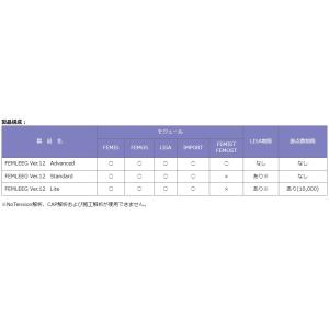 FEMLEEGオプション LAPack for...の詳細画像1