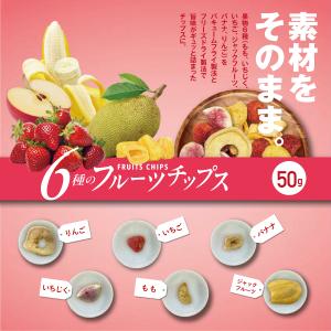 [ 愛記屋 ] 6種の フルーツ チップス 5...の詳細画像1