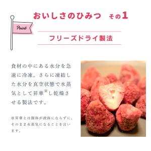 [ 愛記屋 ] 6種の フルーツ チップス 5...の詳細画像3