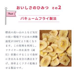 [ 愛記屋 ] 6種の フルーツ チップス 5...の詳細画像5