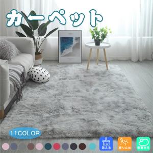 超人気カーペット 部分即納 ラグ カーペット ラグマット ホットカーペット 絨毯 オールシーズン 洗える 長方形 滑り止め付き 春用 新生活 洗える シンプル