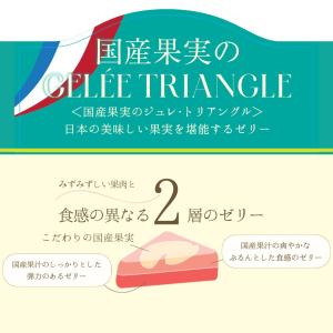 ゼリー ギフト お菓子 お中元 2026 フル...の詳細画像5