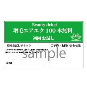 【エアエク】 初回お試しチケットA4の商品画像