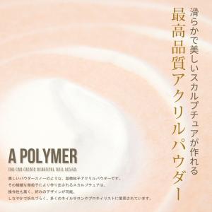 アクリルリキッド アクリルパウダー スカルプブ...の詳細画像2