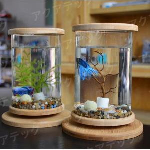 金魚鉢 陶器 おしゃれ 和風 水鉢 睡蓮鉢 メダカ鉢 かわいい レトロ