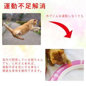 猫 おもちゃ ボール 一人遊び ストレス 解消...の詳細画像4