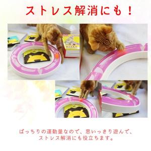 猫 おもちゃ ボール 一人遊び ストレス 解消...の詳細画像5