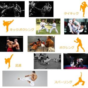 パンチングミット 左右セット トレーニング 筋...の詳細画像5