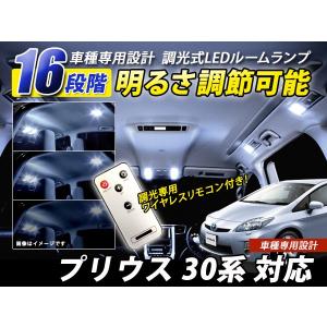リアキャンバープレート トヨタ プリウス 30系 前期/後期対応