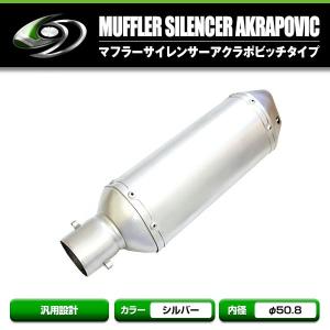 アクラポビッチ タイプ フルカーボン サイレンサー マフラー φ50.8π