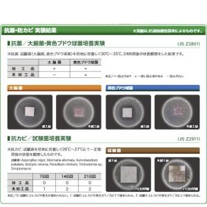 【送料無料】 日東工業 WRX S4 VAG ...の詳細画像2