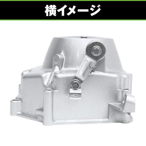 モンキー ゴリラ ダックス DAX シャリー ...の詳細画像4