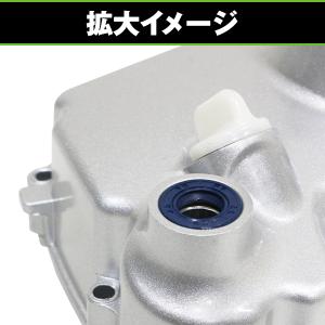 モンキー ゴリラ ダックス DAX シャリー ...の詳細画像5