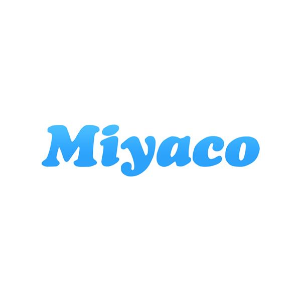 ミヤコ リア カップキット WK-1059 ニッサン ピノ HC24S miyaco ホイルシリンダ...