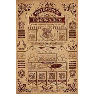 ハリー ポッター ホグワーツスクールリスト 輸入ポスター