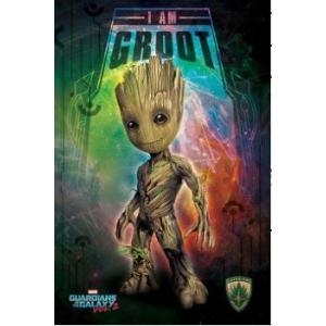 グルート／ガーディアンズ・オブ・ギャラクシー　Groot/Guardians of the Gala...