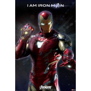 アイアンマン I AM IRONMAN. 映画ポスター MARVEL 61cm x 91.5cm