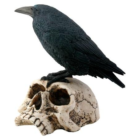 レイブンオンスカル ガイコツの上に立つカラス Raven on skull スカル フィギュア イン...