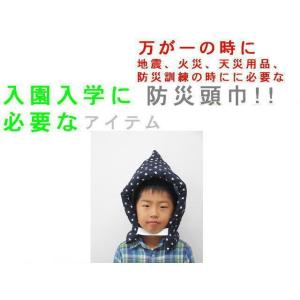 【全国送料無料】【返品不可】【郵送で発送します...の詳細画像1