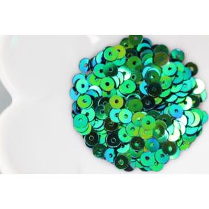 スパンコール 約550枚(約2g) 丸 4mm メタリック青緑(SCC04TGBJQ00)