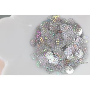 スパンコール 約320枚(約2g) 丸 5mm ホログラム ドット 透明
