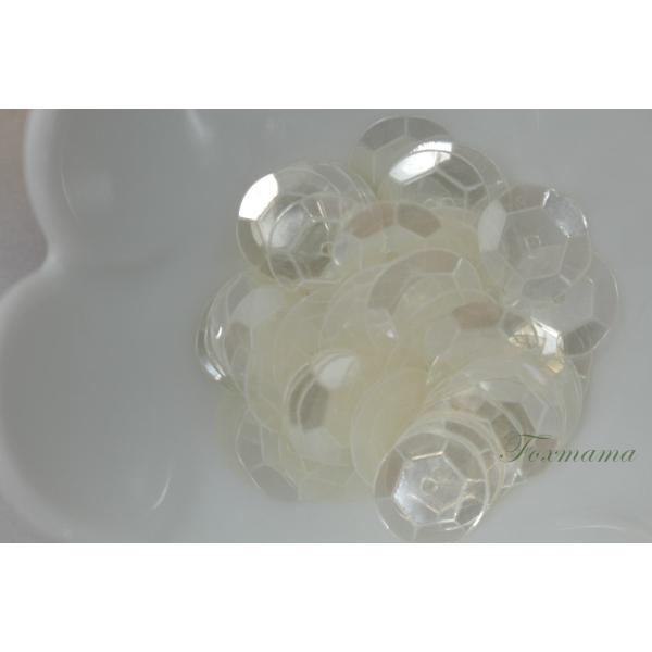 スパンコール 12-13mm 約65枚(約3g) 亀甲 半透明 キナリ (SKK120KNSJHS)