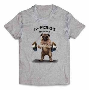 マッチョtシャツ 子供の商品一覧 通販 Yahoo ショッピング