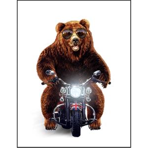 バイクに乗るパンクな熊・クマ 】ポストカード : FOX REPUBLIC バイクに乗るパンクな熊・クマ 】ポストカード : FOX REPUBLIC