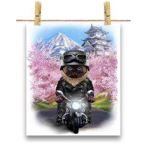 ポストカード by Fox Republic