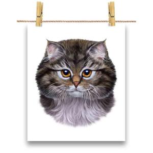 サイベリアン 猫 ネコの商品一覧 通販 Yahoo ショッピング