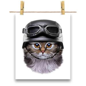 サイベリアン 猫 ネコの商品一覧 通販 Yahoo ショッピング