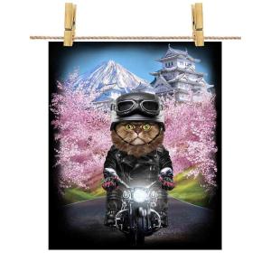 三毛猫 バイク 三毛猫 オレンジ ねこ バイク クリスマス サンタクロース】ポスト