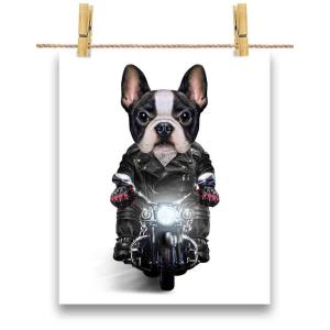 【かわいい フレンチブルドッグ ドッグ 犬 いぬ バイク ヘルメット】ポストカード by Fox Republic