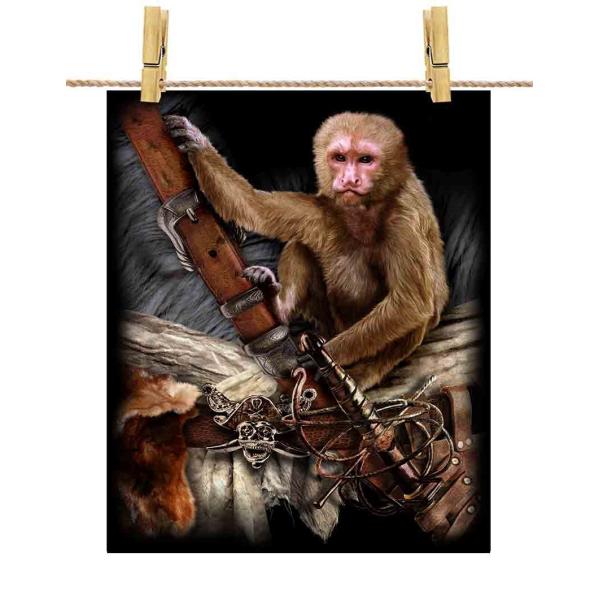 ポスター A1 海賊 猿 だまし絵 コスチューム by Fox Republic パイレーツ