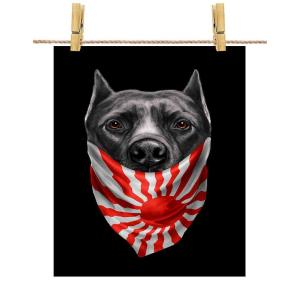 ピットブル 犬 日本の商品一覧 通販 Yahoo ショッピング