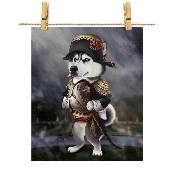 ポスター A3 犬 いぬ シベリアンハスキー ナポレオン フランス by Fox Republic